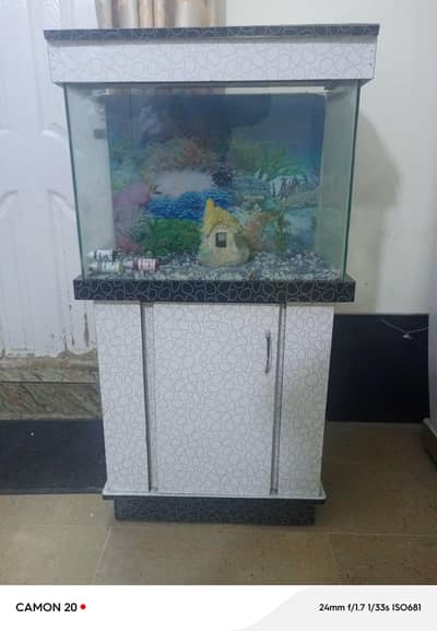 Fish Aquarium 2 Feet By 1 Feet in excellent condition. Price negotiable