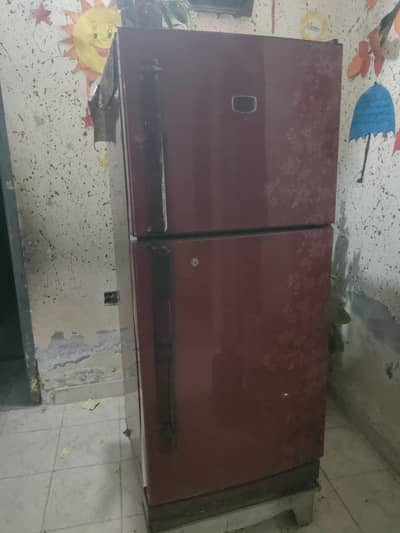 Nationals (Medium-size)