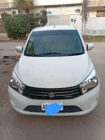 Suzuki Cultas Vxr 2021