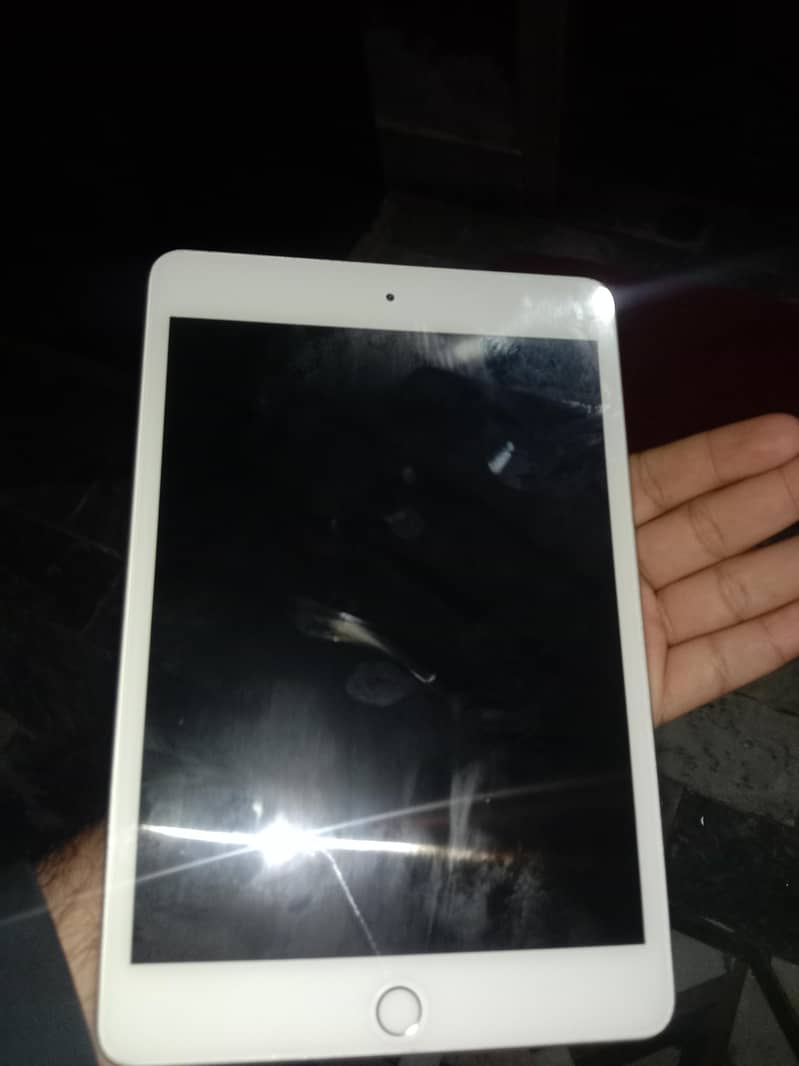 Ipad mini 5 1