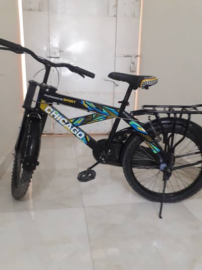 Chicago Professional Sport cycle