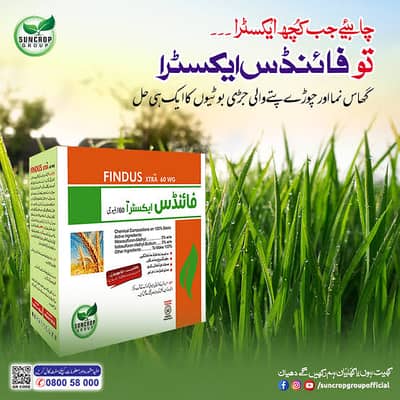 فائنڈس ایکسٹرا مناسب قیمت پر حاصل کریں