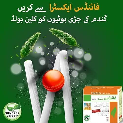 فائنڈس ایکسٹرا مناسب قیمت پر حاصل کریں 1