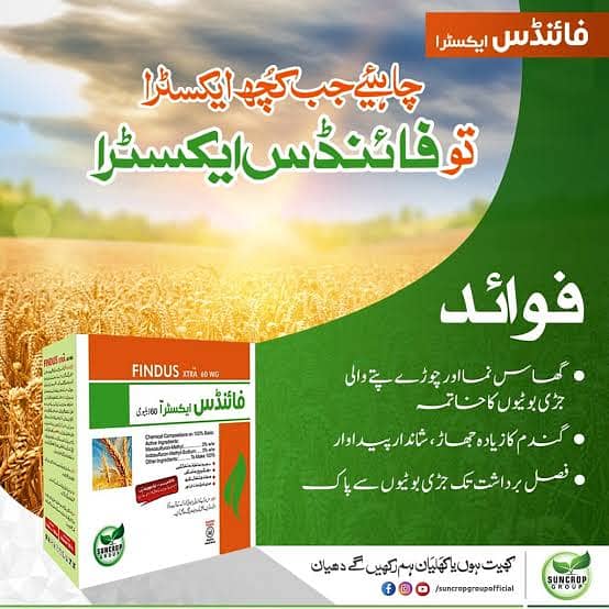 فائنڈس ایکسٹرا مناسب قیمت پر حاصل کریں 2