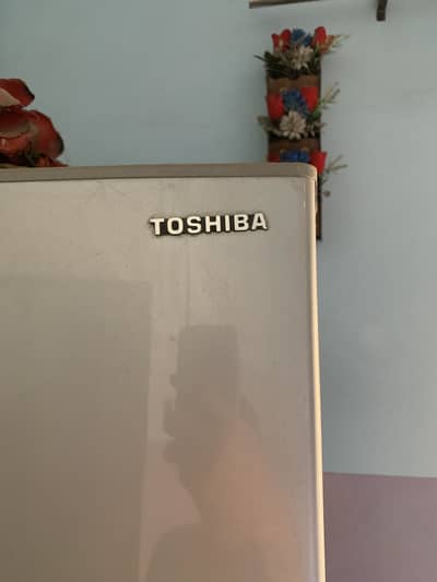 Toshiba freezer Japani no frans