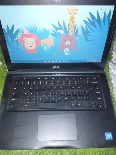 Dell 3380 Chromebook 13.3 inch display