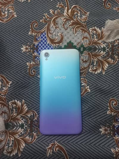 Vivo 2015_21