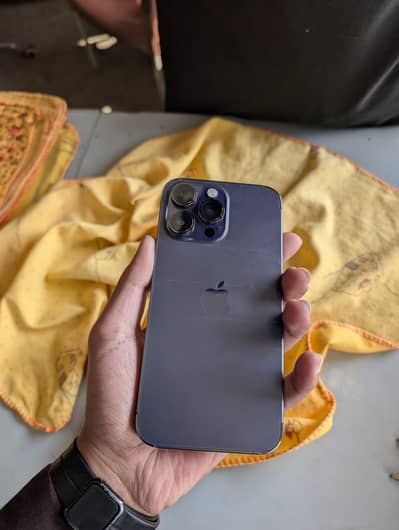 03016566768 only watsap