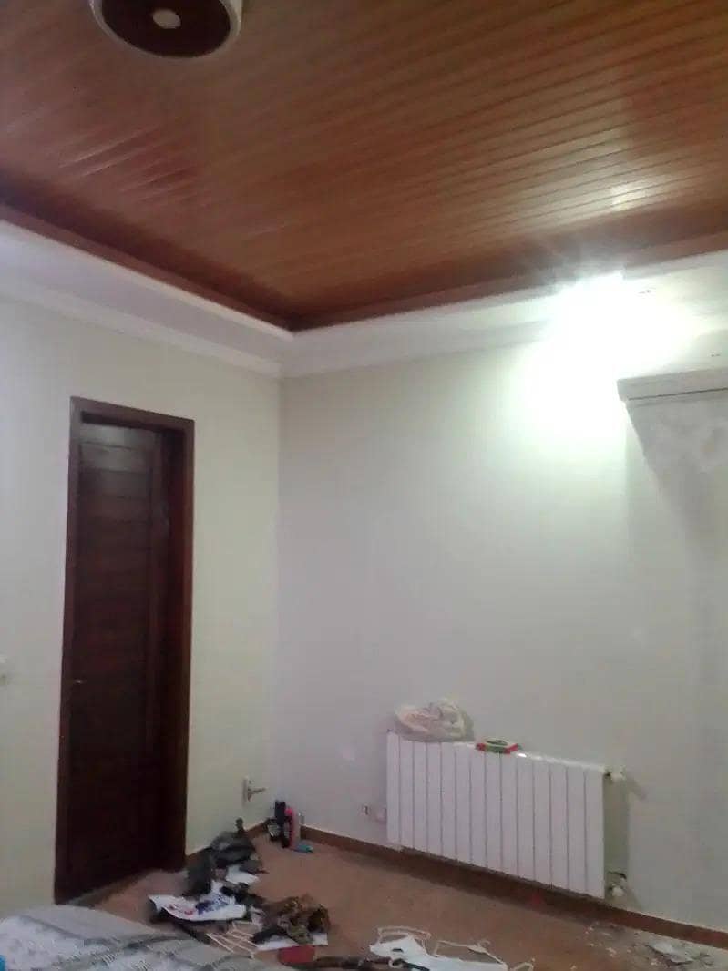 painter 14