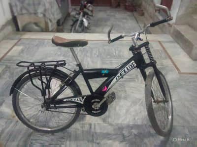 deluxe cycle