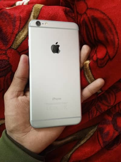 6 Plus official pta approved