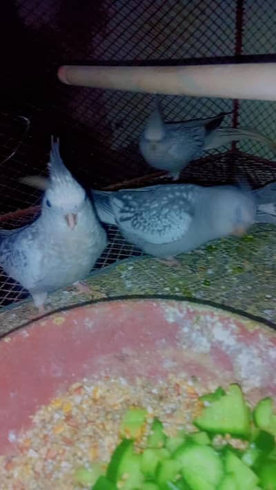 EnoPearl Cocktails 2 pair