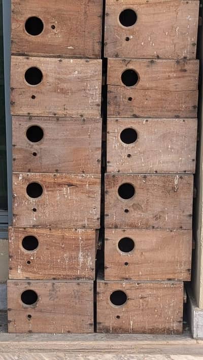 20x Kikar Wood Breeding Boxes for Love Birds
