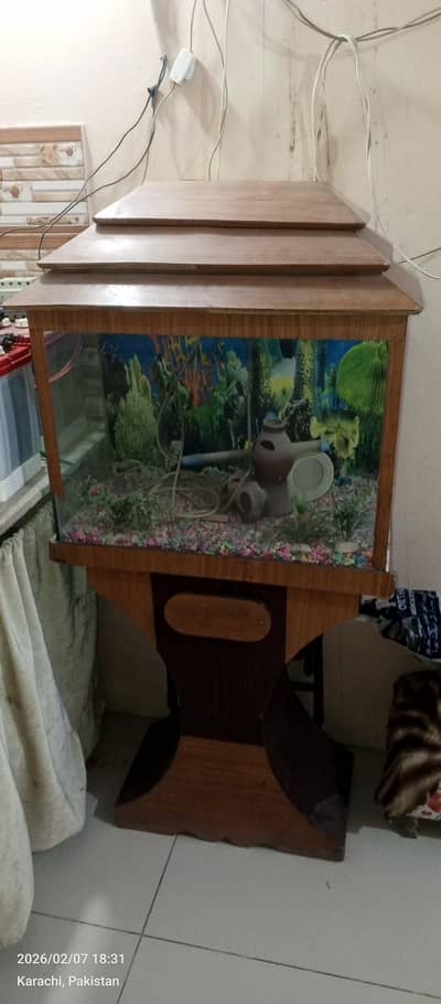 fish aquarium