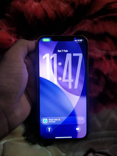 Iphone 12 Pro Max PTA256