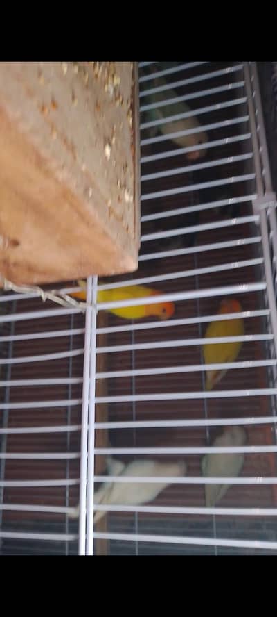 urgent all setup sale