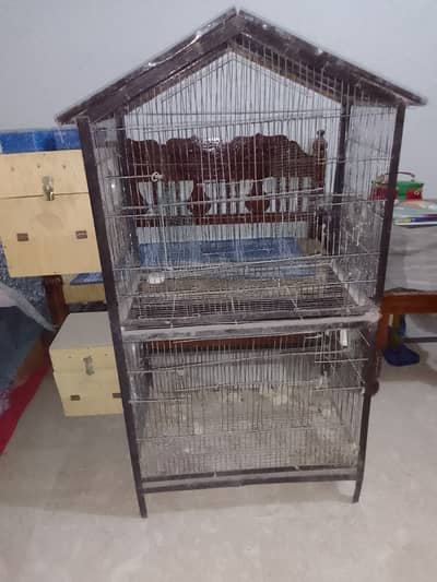 birds cage for sale