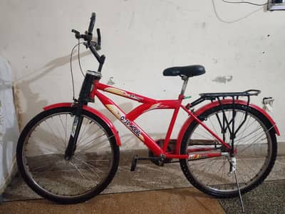 cycle. . O3195030594