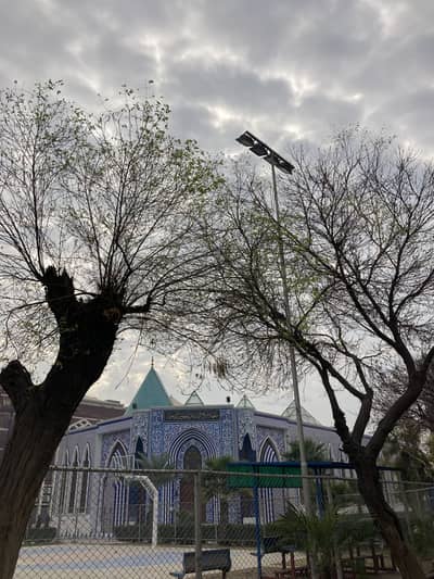 I can edit any type of video and picture can enhance the Quality