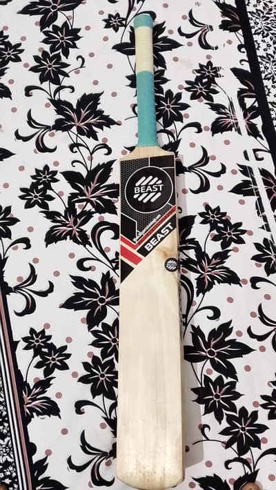 new English willow bat