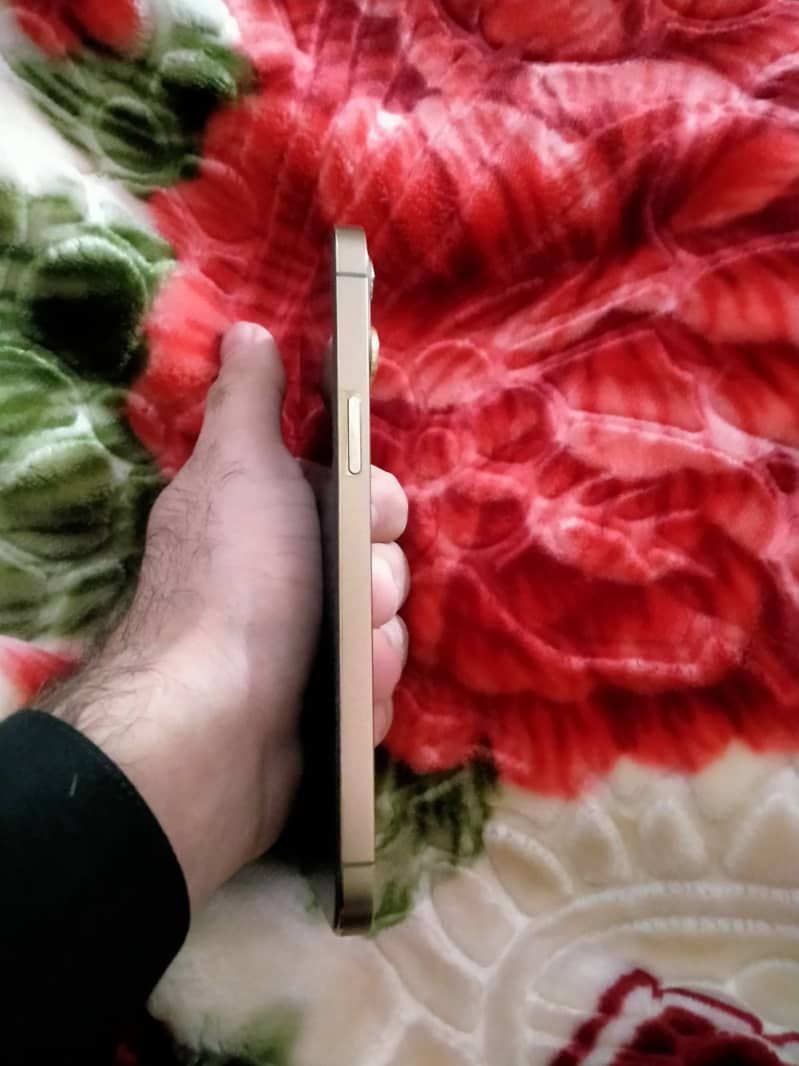 iPhone 12 Pro Max 256 4