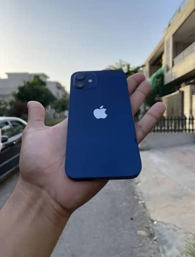 Iphone 12 Pta Approved