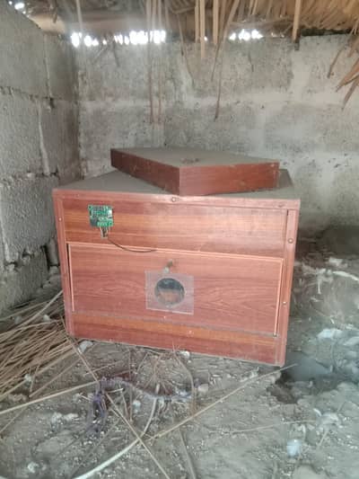 incubator/ brooder for sale
