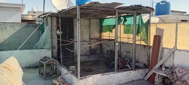 Folding Cage / Shed For Sale 0344-8586-859