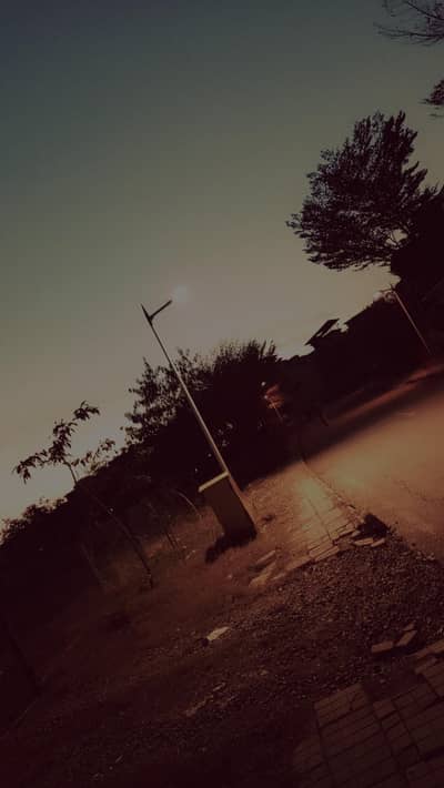 Need Female Receptionist