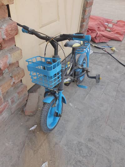 kids Cycle 