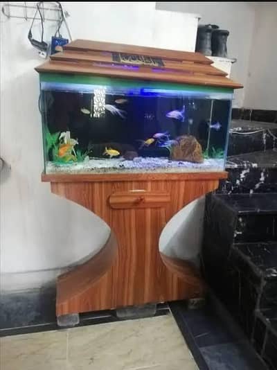 Aquarium for sale