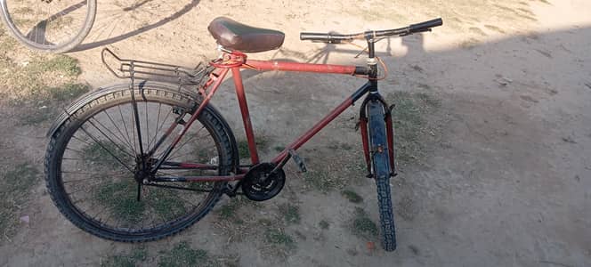 cycle large size all fit and ok