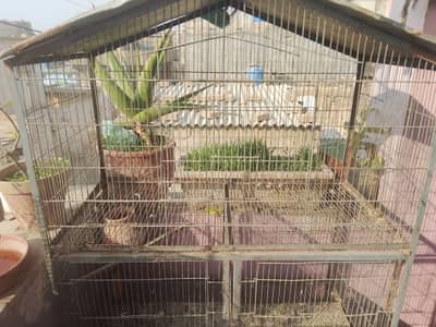 Cage in average condition