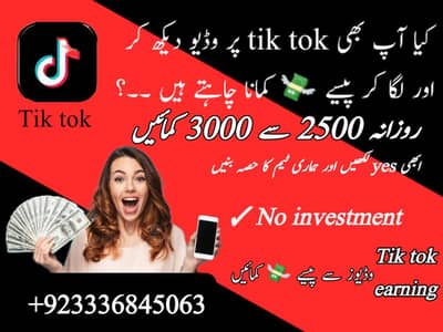 Tik tok earning program