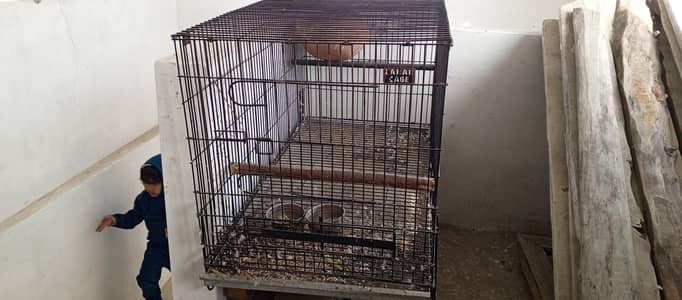 Raw Parrat breading cage