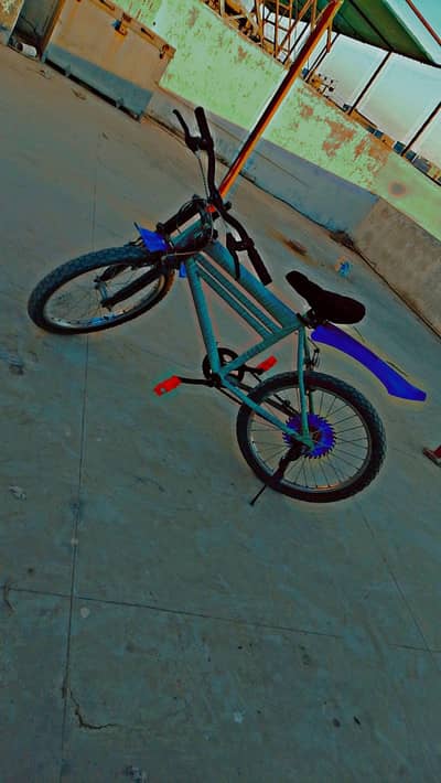 cycle for 12 till 13 years