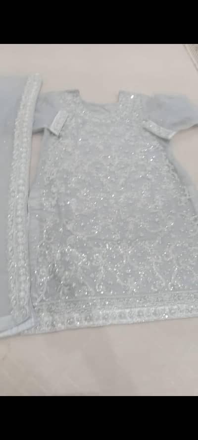 silver dress on net