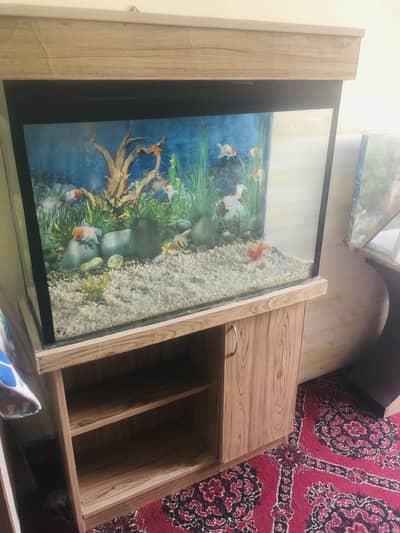 3 feet aquarium > Read add