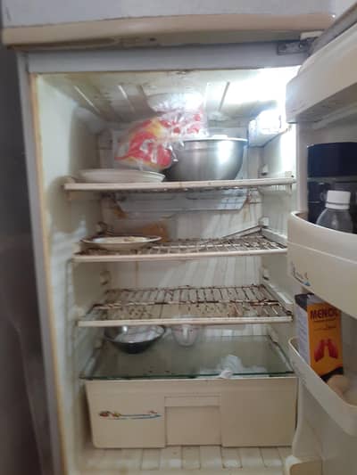 PEL Farij 10/9 Ahamdabad colony Gali no 13