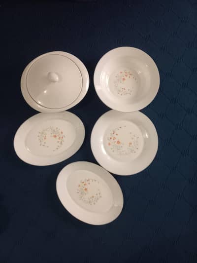 Emily Spring Garden pattern Pyrex dishes set of 5