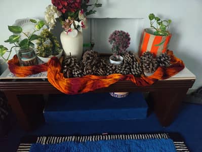 2 Multipurpose wooden bench with cushioning