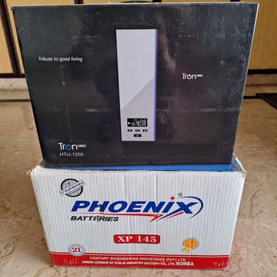 UPS + Battery (1000 W Setup)