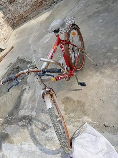 Cosmo bike