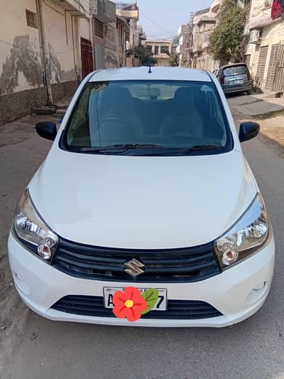 Suzuki Cultas Vxr 2021