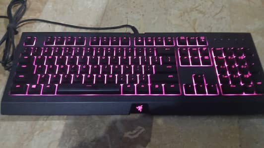 Razer cysona chroma