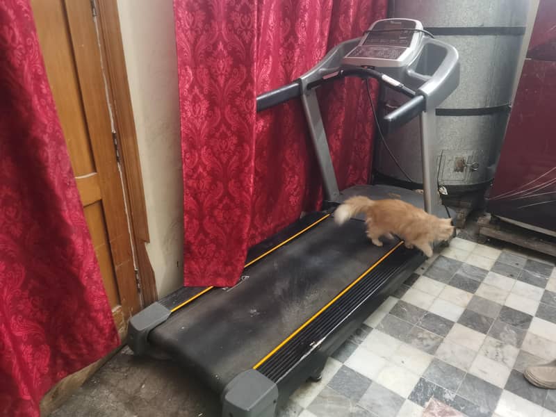 Treadmill 1