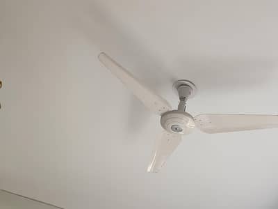 Fan copper hardly used