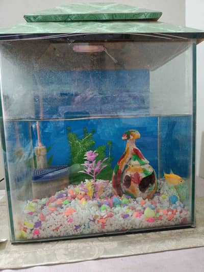 Fish aquarium for sell
