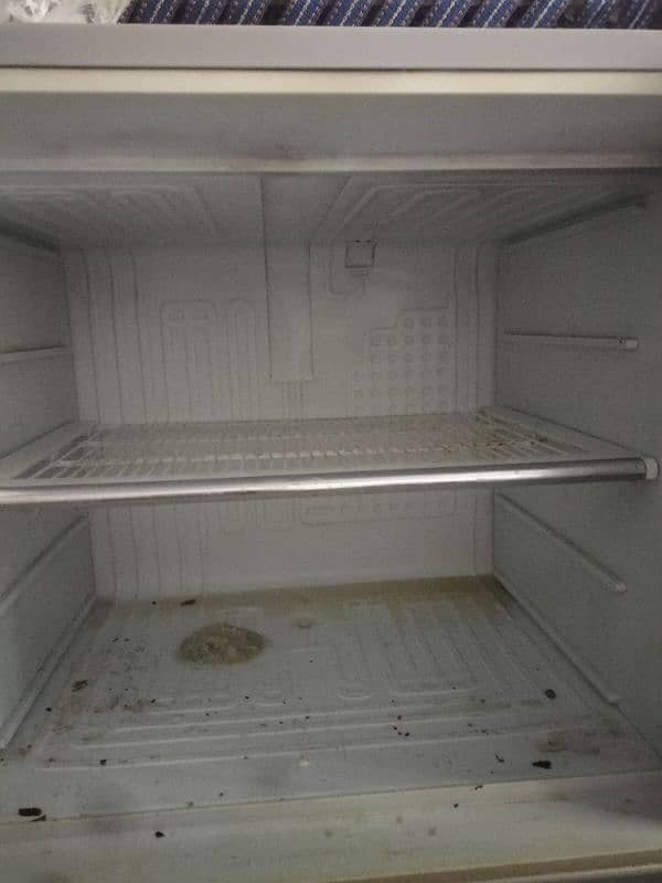 Dawlance reflection 1