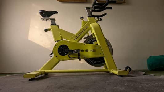 nuriza spinning bike